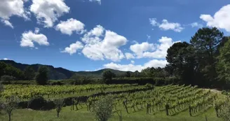 Domaine La Clef du Bonheur