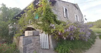 Glycine