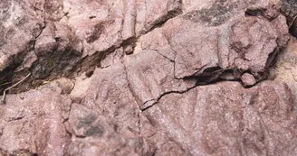 Géosite des Fourniols Géosite des Fourniols