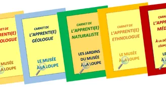 4 parcours ludiques en famille : Chasse au trésor et parcours-jeux au Musée des Vans