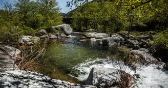 Vallée de la Thines