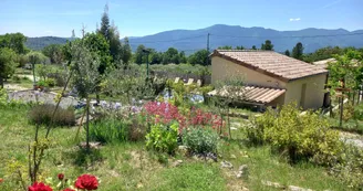Gîtes de l'Arjalas-Olive Gîtes de l'Arjalas-Olive
