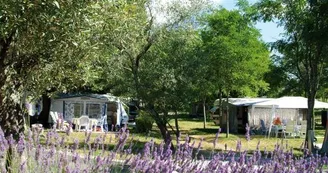 Camping Le Petit Bois Sites et Paysages