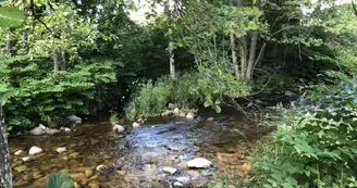 Camping Pré Vologne Camping Pré Vologne