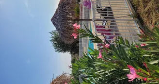 Camping BEAUME GIRAUD