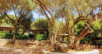 Campo di Liccia
