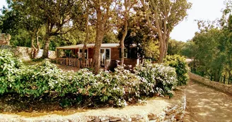 Campo di Liccia