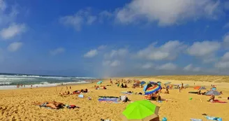 Camping LA CIGALINE Camping LA CIGALINE