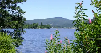 Camping VERTE VALLEE