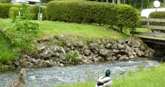 Camping VERTE VALLEE