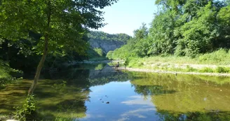 Camping La Turelure - Nature Zen