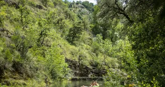 Camping La Turelure - Nature Zen