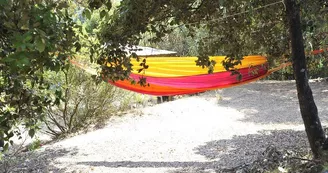Flower Camping Torraccia
