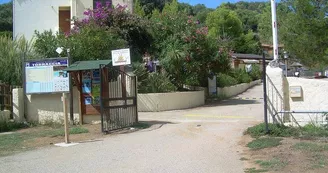 Flower Camping Torraccia