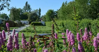 Camping LA PETITE FORET Camping LA PETITE FORET