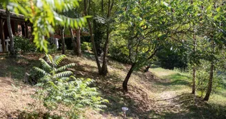 Les Chalets de la Gazonne
