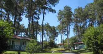 Domaine des Grands Pins