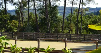 Domaine des Grands Pins