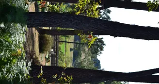 Domaine des Grands Pins
