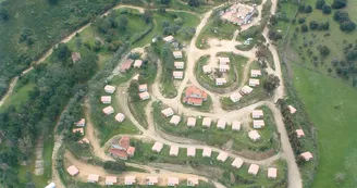 Camping Tikiti