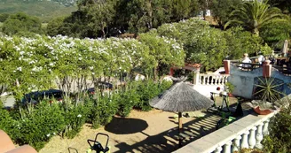 Camping Tikiti