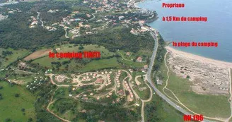 Camping Tikiti