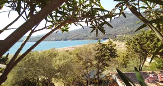 Camping Tikiti