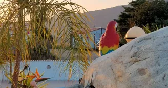 Camping Tikiti