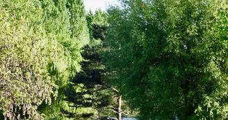 Camping l'Ile d'Amour Camping l'Ile d'Amour