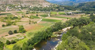 Domaine des Chênes Domaine des Chênes