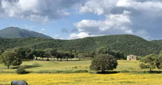 Camping OLVA LES EUCALYPTUS Camping OLVA LES EUCALYPTUS