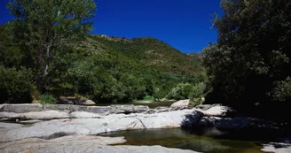 Camping OLVA LES EUCALYPTUS Camping OLVA LES EUCALYPTUS