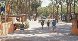 Camping Neptuno