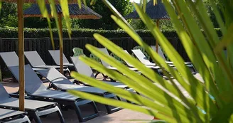 Flower Camping Saint Amand
