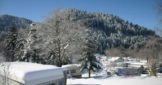 DOMAINE DU HAUT DES BLUCHES DOMAINE DU HAUT DES BLUCHES