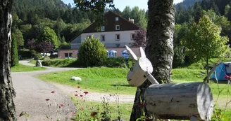 DOMAINE DU HAUT DES BLUCHES DOMAINE DU HAUT DES BLUCHES
