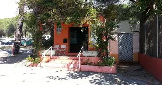 Camping La Buganvilla