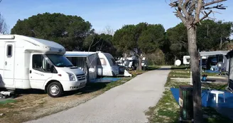 Camping La Buganvilla