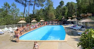 Camping Paradis - Bois Simonet