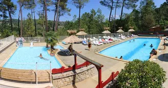 Camping Paradis - Bois Simonet