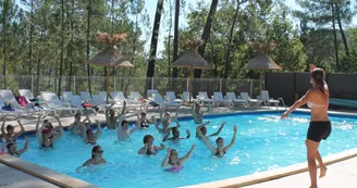 Camping Paradis - Bois Simonet