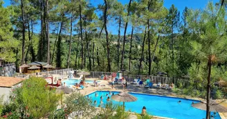 Camping Paradis - Bois Simonet