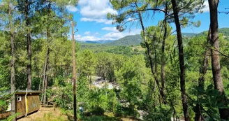 Camping Paradis - Bois Simonet