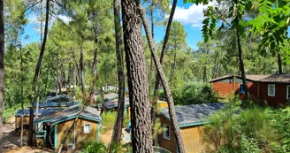 Camping Paradis - Bois Simonet