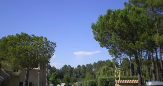 Camping La Rouvière Les Pins Camping La Rouvière Les Pins