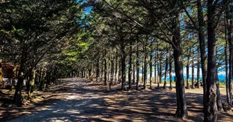 Camping Le Matin Calme Camping Le Matin Calme