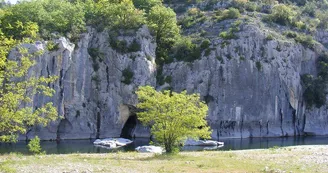 Camping les Actinidias