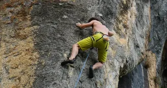 Camping les Actinidias