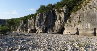 Camping les Actinidias
