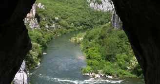 Camping les Actinidias